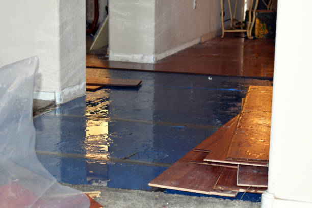 Professional Basement Flood Cleanup technician working in Maysville, GA